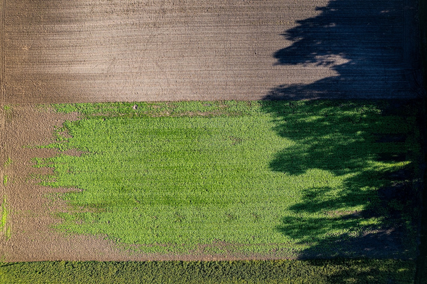 Empowering Women Farmers with Technology