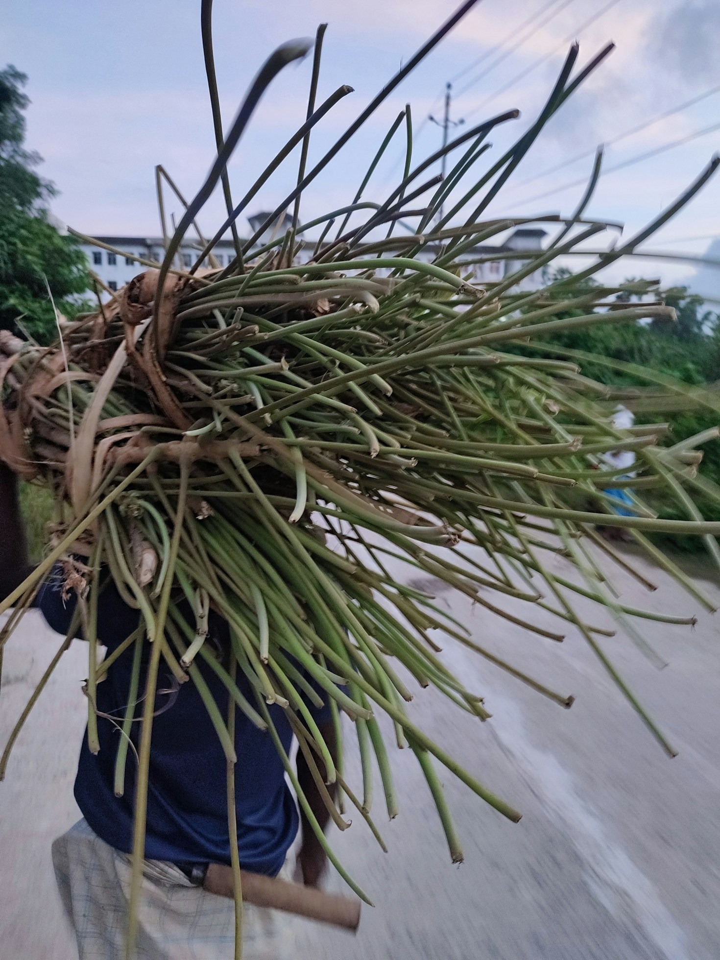 AI and the Next Generation of Farmers